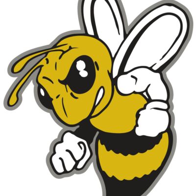 AR BEE 60 RC Thumbnail